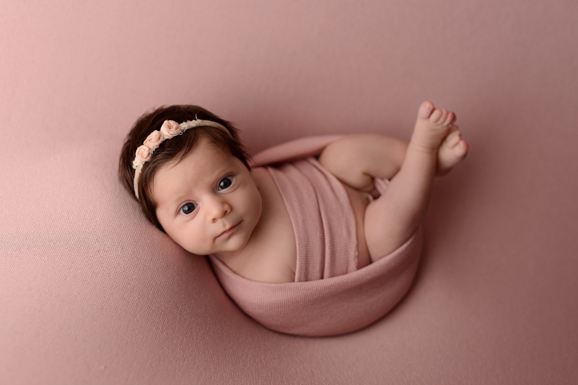 newborn photography long island new york